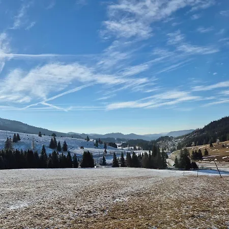 Luxusny Z Tarasmi - Vera *